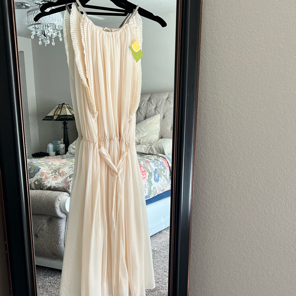 Alice + Olivia Belted Cream Dress With Beaded Accents